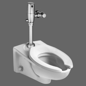 Wall Hung WC